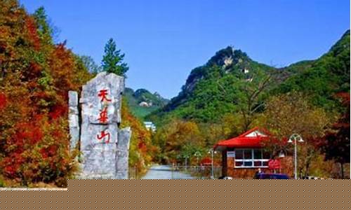 宽甸92号汽油多少钱一升_丹东市宽甸县油价多少钱