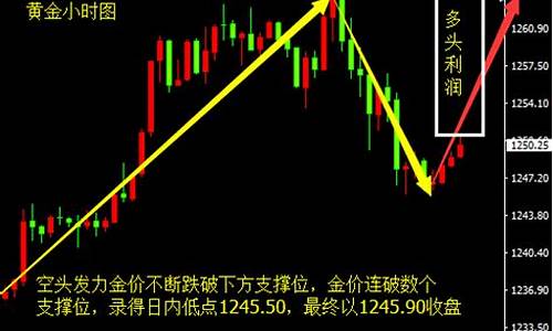 金价反弹继续_金价触底反弹趋势
