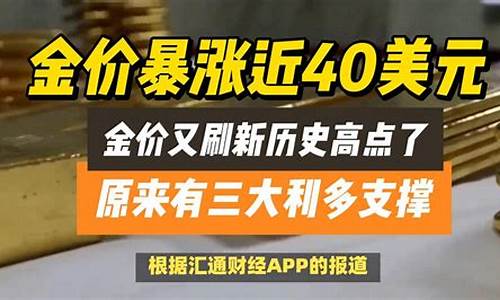 金价历史曲线_金价又刷新历史高点