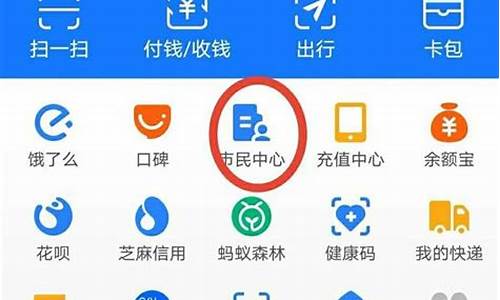 支付宝攒的油在哪里查_支付宝里查油价怎么查