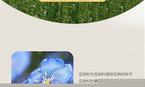 内蒙古亚麻油价格_锡林浩特出产亚麻油价格