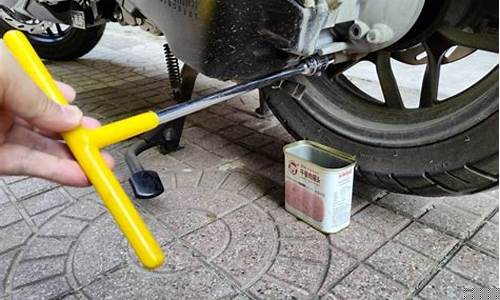 踏板车更换齿轮油价格_踏板车换齿轮油多少钱
