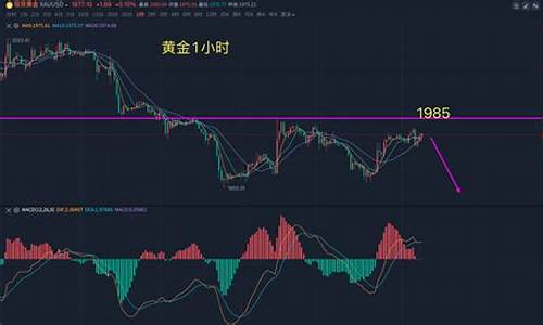 金价是否触及短线_金价是否触及短线指标
