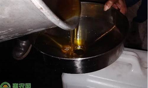 茶籽油价格多少钱一斤_今年茶油籽多少钱一斤