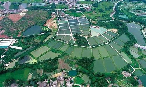 渔业油价补贴茂名_渔业油价补贴实施方案