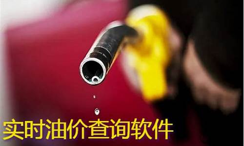 哪个导航可以查油价_哪个导航可以查油价的
