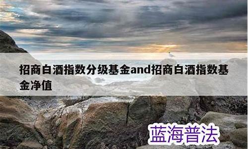 招商白酒基金价值_招商白酒基金是看什么大盘