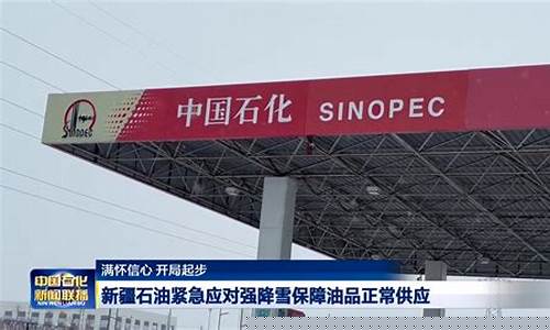 新疆哈密中石油油价多少_哈密中石油92号油价