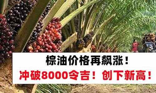 2022棕油价格_棕油现货价格是多少