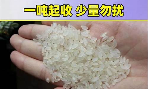 宁晋批发油价格是多少_宁晋粮油批发市场