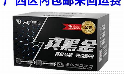 天能电池黑金刚_天轮电池黑金价格