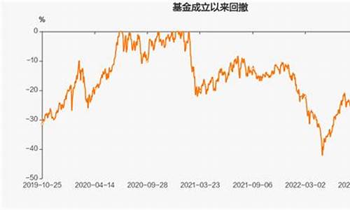 民营活力基金价值_民营基金公司有哪些