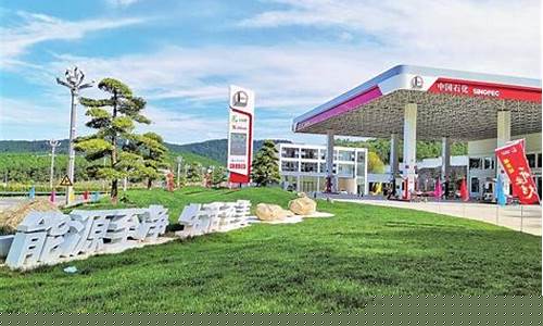 中国石化云南石油价格查询_云南中国石油油价