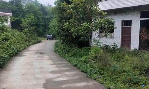 重庆柴油价格走势_重庆市秀山县柴油价格