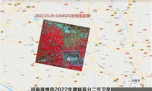 禹州油价调整最新_2022年禹州最新油价