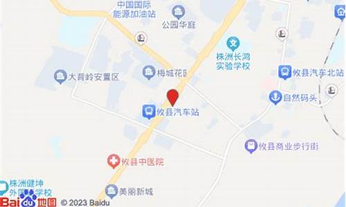 株洲市大金行金价查询_株洲市大金行金价