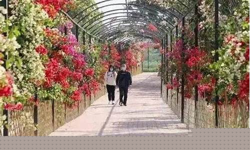 东莞桥头现在的金价_东莞金价回收今天什么价格查询