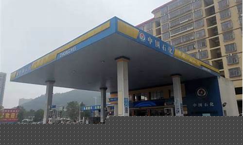 衡东城关镇金花加油站油价_衡东加油站电话