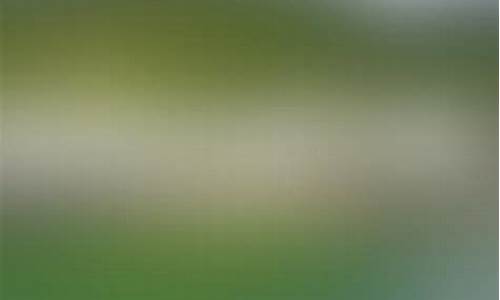 安溪蓝田乡加油站油价_安溪蓝田乡加油站油价表