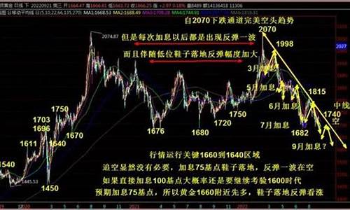 凌晨金价走势如何_金店金价几点更新