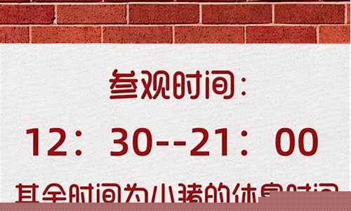 油价搞笑句子_讽刺油价文案短句
