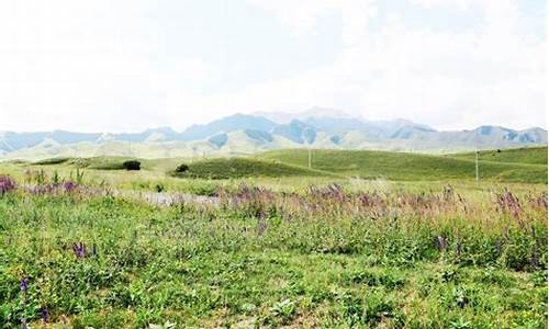 新疆昌吉玛纳斯油价_新疆昌吉玛纳斯地图